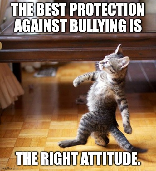 Cat Walking Like A Boss | THE BEST PROTECTION AGAINST BULLYING IS THE RIGHT ATTITUDE. | image tagged in cat walking like a boss | made w/ Imgflip meme maker