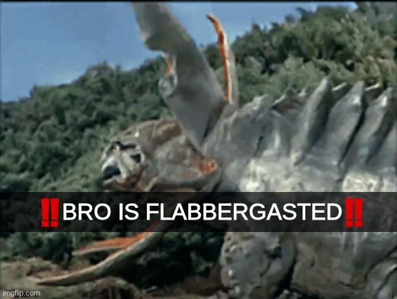 gabora is flabbergasted | image tagged in gabora is flabbergasted | made w/ Imgflip meme maker