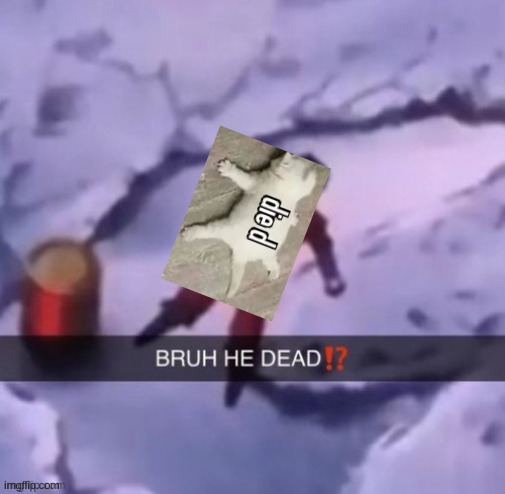 BRUH HE DEAD!? | image tagged in bruh he dead | made w/ Imgflip meme maker