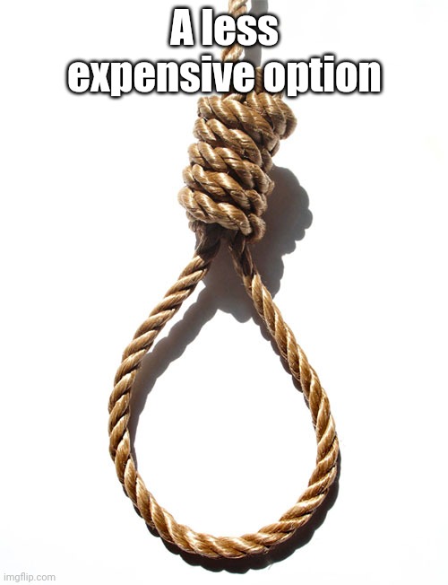 Hang rope | A less expensive option | image tagged in hang rope | made w/ Imgflip meme maker