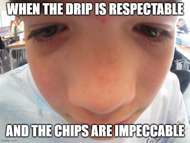 funny meme | WHEN THE DRIP IS RESPECTABLE; AND THE CHIPS ARE IMPECCABLE | image tagged in funny memes | made w/ Imgflip meme maker