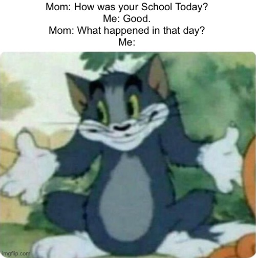 Lol idk | Mom: How was your School Today?
Me: Good.
Mom: What happened in that day?
Me: | image tagged in tom shrugging,memes,school,school meme,funny,tom and jerry | made w/ Imgflip meme maker