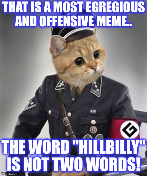 Grammar Nazi Cat | THAT IS A MOST EGREGIOUS
AND OFFENSIVE MEME.. THE WORD "HILLBILLY" IS NOT TWO WORDS! | image tagged in grammar nazi cat | made w/ Imgflip meme maker