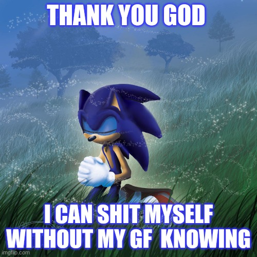 SoNiC hErOeS | THANK YOU GOD; I CAN SHIT MYSELF WITHOUT MY GF  KNOWING | image tagged in praying sonic | made w/ Imgflip meme maker