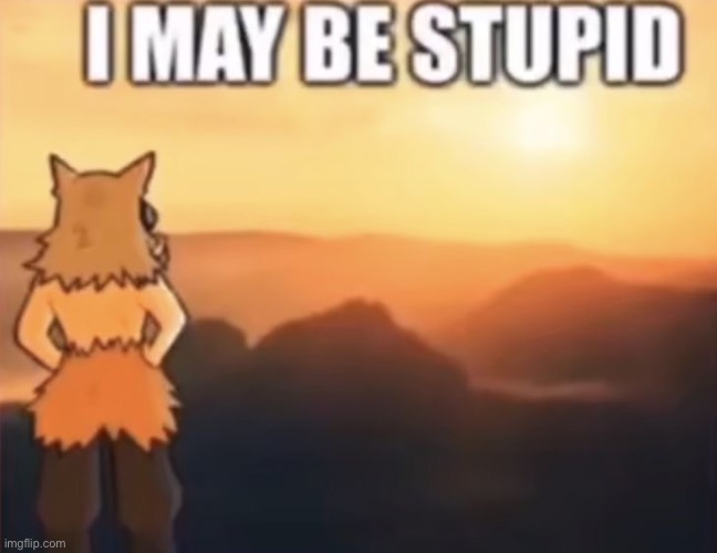 I may be stupid | image tagged in i may be stupid | made w/ Imgflip meme maker