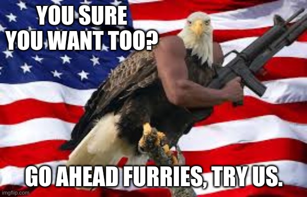 Murica Eagle M16 | YOU SURE YOU WANT TOO? GO AHEAD FURRIES, TRY US. | image tagged in murica eagle m16 | made w/ Imgflip meme maker