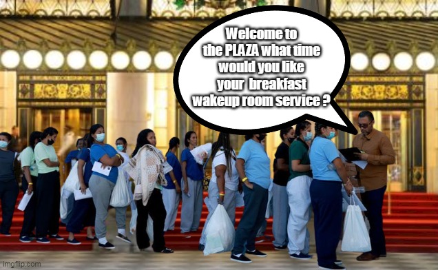 Welcome to the PLAZA what time would you like your  breakfast wakeup room service ? | made w/ Imgflip meme maker