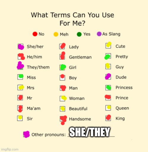 Title | SHE/THEY | image tagged in pronouns sheet | made w/ Imgflip meme maker