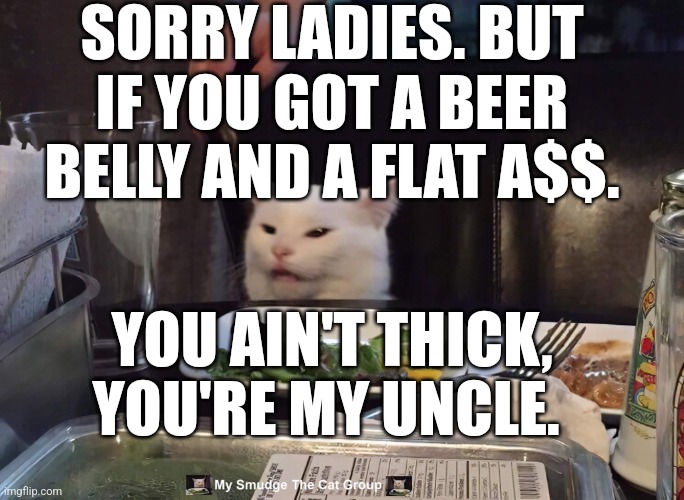 SORRY LADIES. BUT IF YOU GOT A BEER BELLY AND A FLAT A$$. YOU AIN'T THICK, YOU'RE MY UNCLE. | image tagged in smudge the cat | made w/ Imgflip meme maker