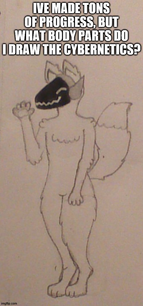 This doesn't look that good lmao | IVE MADE TONS OF PROGRESS, BUT WHAT BODY PARTS DO I DRAW THE CYBERNETICS? | image tagged in furry,art,cybernetics,protogen | made w/ Imgflip meme maker