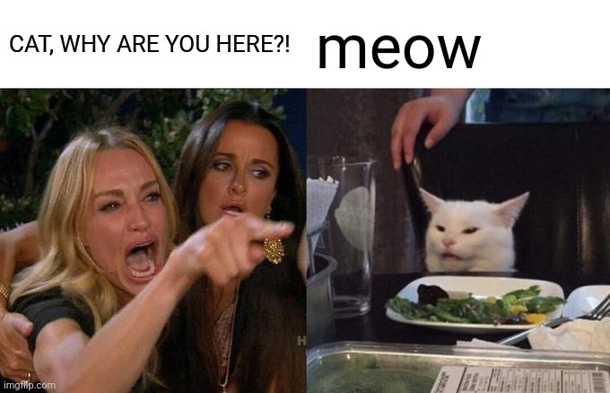 Woman Yelling At Cat Meme | CAT, WHY ARE YOU HERE?! meow | image tagged in memes,woman yelling at cat | made w/ Imgflip meme maker