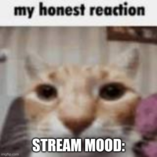 My Honest Reaction | STREAM MOOD: | image tagged in my honest reaction | made w/ Imgflip meme maker