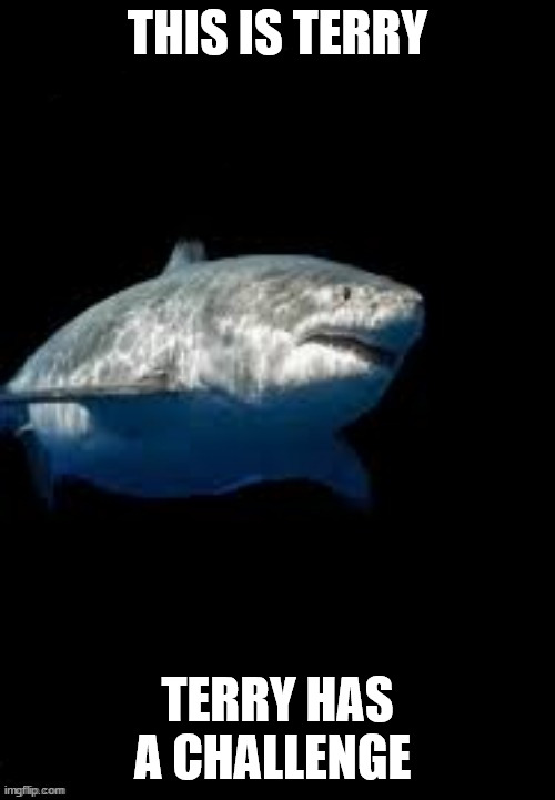 Terry the fat shark template | THIS IS TERRY; TERRY HAS A CHALLENGE | image tagged in terry the fat shark template | made w/ Imgflip meme maker