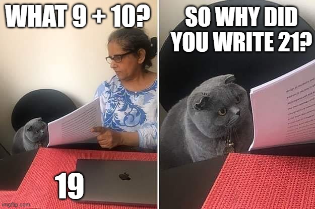 Woman showing paper to cat | WHAT 9 + 10? SO WHY DID YOU WRITE 21? 19 | image tagged in woman showing paper to cat | made w/ Imgflip meme maker