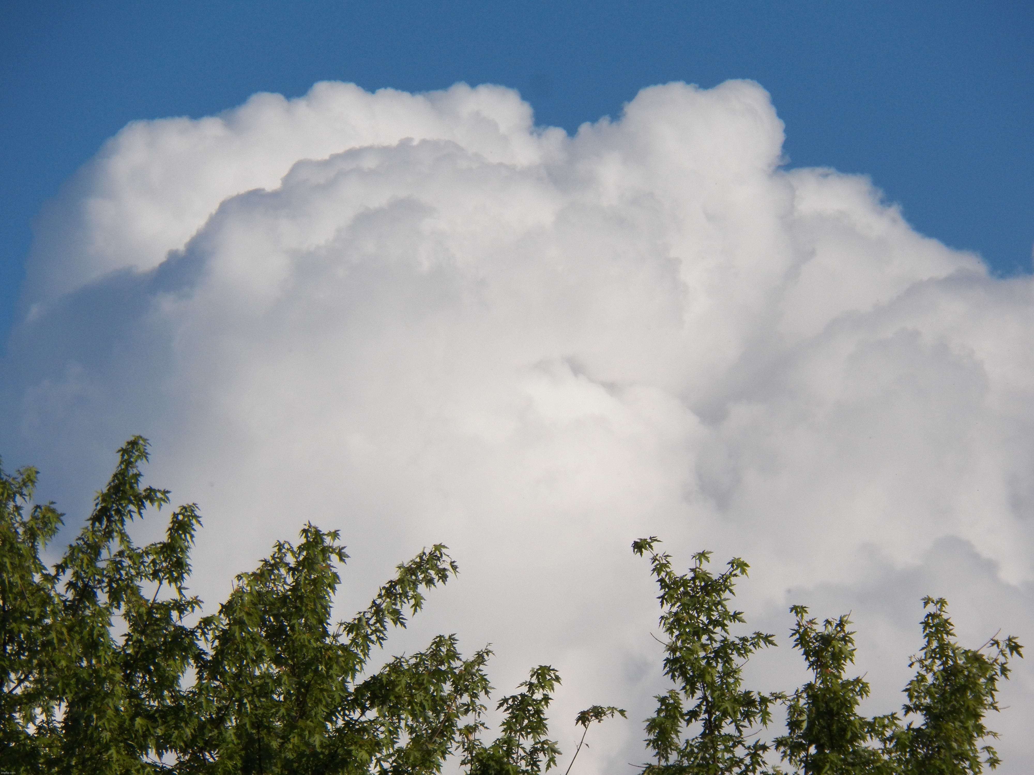 big cloud | image tagged in big cloud,kewlew | made w/ Imgflip meme maker