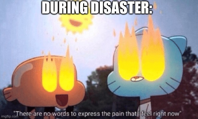 There Are No Words To Express The Pain That I Feel Right Now | DURING DISASTER: | image tagged in there are no words to express the pain that i feel right now | made w/ Imgflip meme maker