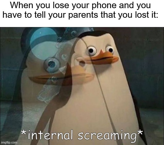 I lost my phone | When you lose your phone and you have to tell your parents that you lost it: | image tagged in private internal screaming | made w/ Imgflip meme maker