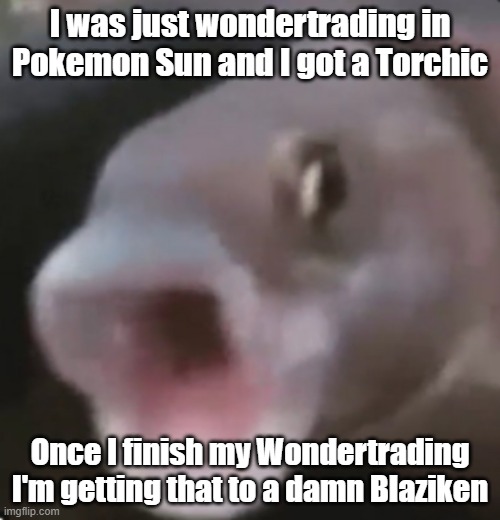 Holy sh*t. | I was just wondertrading in Pokemon Sun and I got a Torchic; Once I finish my Wondertrading I'm getting that to a damn Blaziken | image tagged in poggers fish | made w/ Imgflip meme maker