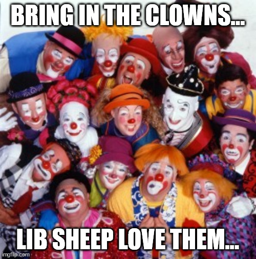 Clowns | BRING IN THE CLOWNS... LIB SHEEP LOVE THEM... | image tagged in clowns | made w/ Imgflip meme maker