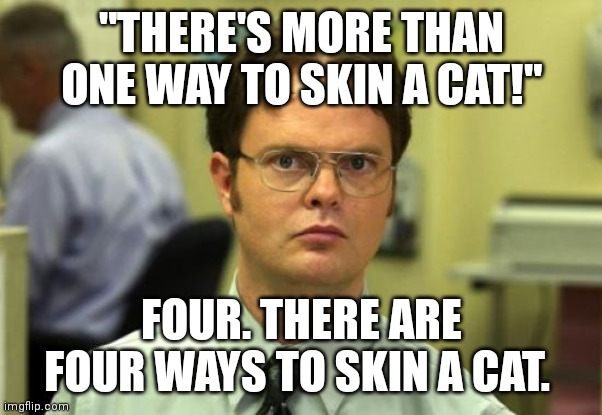 Dwight Schrute Meme | "THERE'S MORE THAN ONE WAY TO SKIN A CAT!"; FOUR. THERE ARE FOUR WAYS TO SKIN A CAT. | image tagged in memes,dwight schrute | made w/ Imgflip meme maker