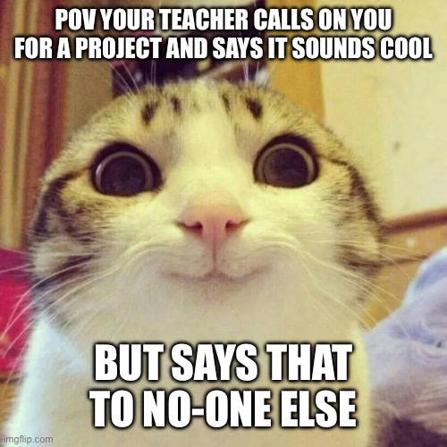 Smiling Cat |  POV YOUR TEACHER CALLS ON YOU FOR A PROJECT AND SAYS IT SOUNDS COOL; BUT SAYS THAT TO NO-ONE ELSE | image tagged in memes,smiling cat | made w/ Imgflip meme maker