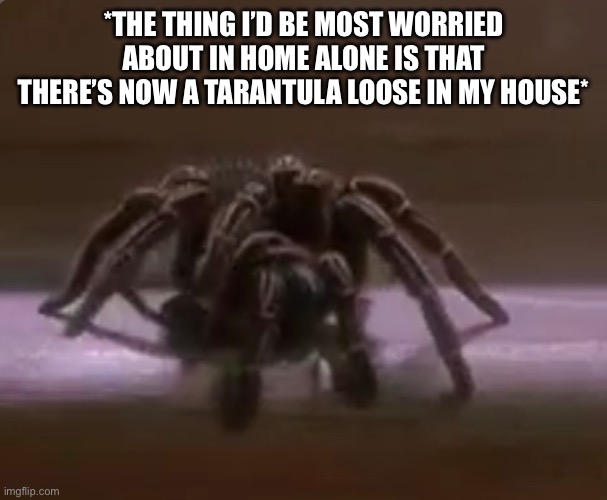 Spider From Home Alone |  *THE THING I’D BE MOST WORRIED ABOUT IN HOME ALONE IS THAT THERE’S NOW A TARANTULA LOOSE IN MY HOUSE* | image tagged in home alone,spider,tarantula,movie meme,loose spider | made w/ Imgflip meme maker