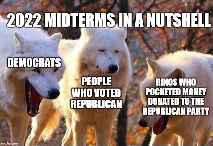 Laughing wolf | 2022 MIDTERMS IN A NUTSHELL; DEMOCRATS; PEOPLE WHO VOTED REPUBLICAN; RINOS WHO POCKETED MONEY DONATED TO THE REPUBLICAN PARTY | image tagged in laughing wolf | made w/ Imgflip meme maker