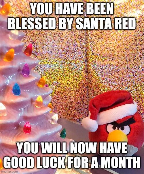 Good luck | YOU HAVE BEEN BLESSED BY SANTA RED; YOU WILL NOW HAVE GOOD LUCK FOR A MONTH | image tagged in you have been eternally cursed for reading the tags,angry birds,merry christmas | made w/ Imgflip meme maker