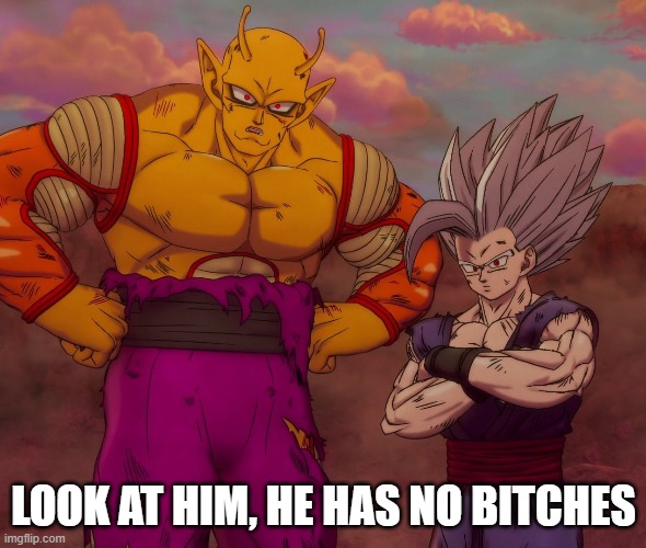 Look at him | LOOK AT HIM, HE HAS NO BITCHES | image tagged in dragon ball super | made w/ Imgflip meme maker