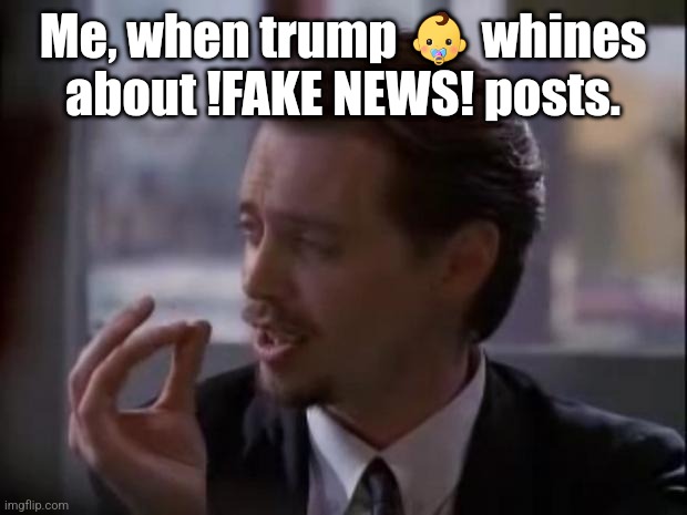 trump whining | Me, when trump 👶 whines about !FAKE NEWS! posts. | image tagged in the world's smallest violin | made w/ Imgflip meme maker