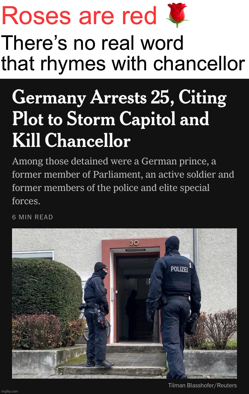 bruh | Roses are red 🌹; There’s no real word that rhymes with chancellor | image tagged in german chancellor plot,roses are red,what rhymes with chancellor,i dont have an ancellor | made w/ Imgflip meme maker