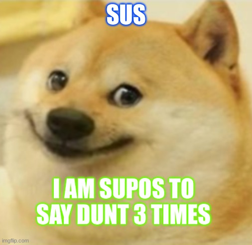 Smile Doge (Cropped) | SUS; I AM SUPOS TO SAY DUNT 3 TIMES | image tagged in smile doge cropped | made w/ Imgflip meme maker