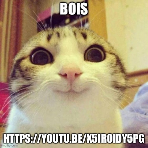 https://youtu.be/X5ir0IDy5Pg | BOIS; HTTPS://YOUTU.BE/X5IR0IDY5PG | image tagged in memes,smiling cat | made w/ Imgflip meme maker