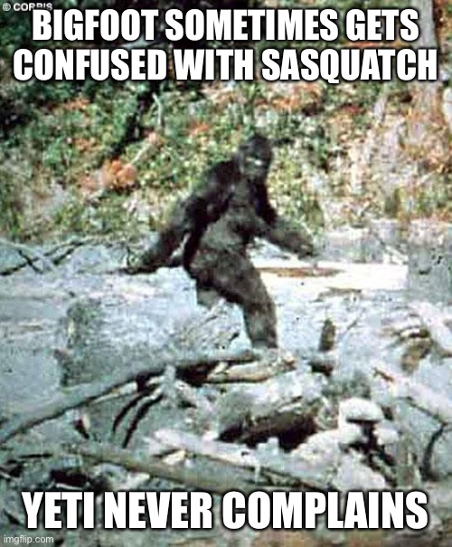 Bigfoot | BIGFOOT SOMETIMES GETS CONFUSED WITH SASQUATCH; YETI NEVER COMPLAINS | image tagged in bigfoot | made w/ Imgflip meme maker