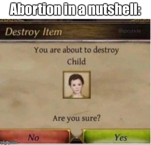 Abortion in a nutshell: | made w/ Imgflip meme maker