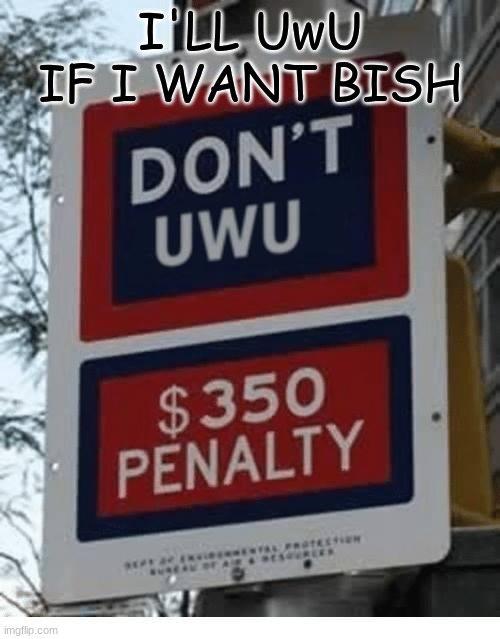 Don't Uwu | I'LL UwU IF I WANT BISH | image tagged in don't uwu | made w/ Imgflip meme maker