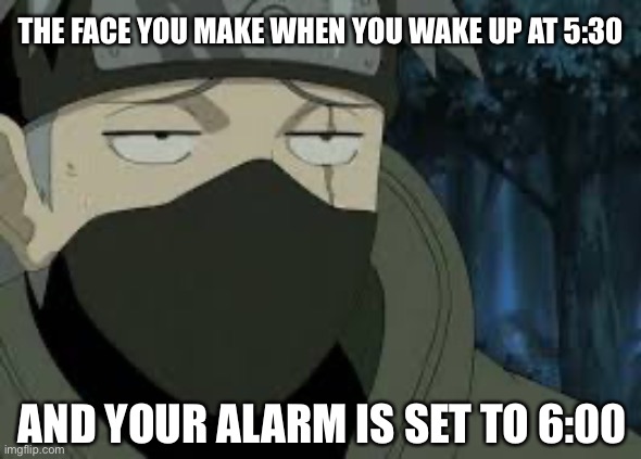 We’ve all had that moment | THE FACE YOU MAKE WHEN YOU WAKE UP AT 5:30; AND YOUR ALARM IS SET TO 6:00 | image tagged in are you serious kakashi | made w/ Imgflip meme maker