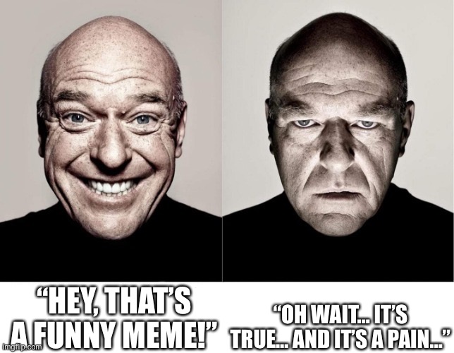 breaking bad smile frown | “HEY, THAT’S A FUNNY MEME!” “OH WAIT… IT’S TRUE… AND IT’S A PAIN…” | image tagged in breaking bad smile frown | made w/ Imgflip meme maker