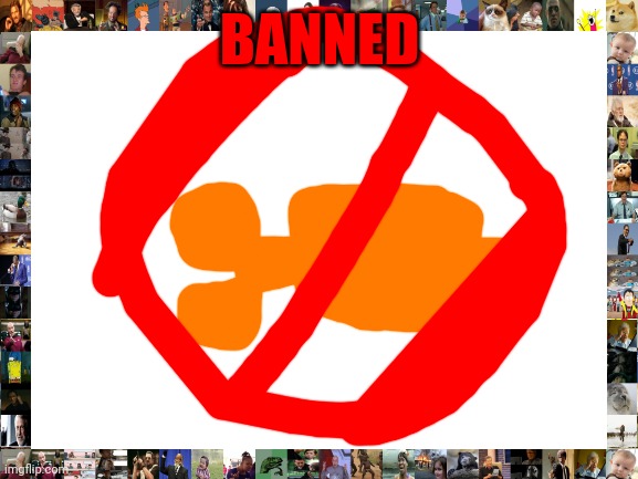 KOI-IS-IN-TORPOR BANNED | BANNED | image tagged in blank white template | made w/ Imgflip meme maker
