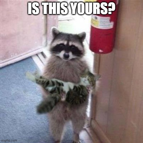 Is this yours | IS THIS Y0URS? | image tagged in coon with cat | made w/ Imgflip meme maker