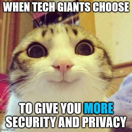 Merry Encryptmas | WHEN TECH GIANTS CHOOSE; TO GIVE YOU MORE SECURITY AND PRIVACY; MORE | image tagged in memes,smiling cat | made w/ Imgflip meme maker