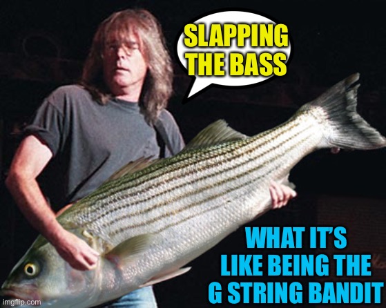 Sucks when you smoke with the plucking hand, that a bad smell | SLAPPING THE BASS; WHAT IT’S LIKE BEING THE G STRING BANDIT | image tagged in bass guitar pun | made w/ Imgflip meme maker