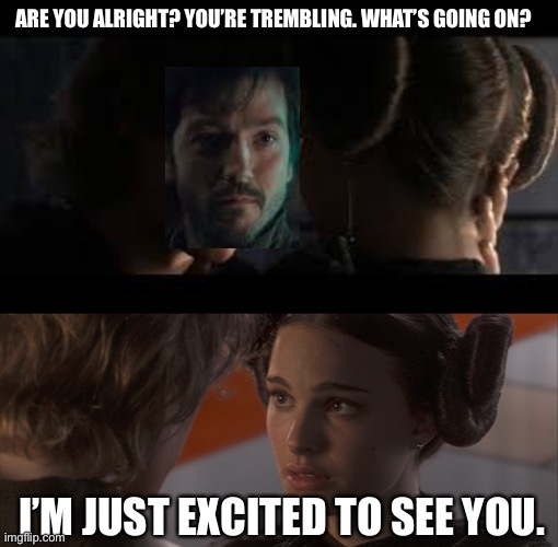 ARE YOU ALRIGHT? YOU’RE TREMBLING. WHAT’S GOING ON? I’M JUST EXCITED TO SEE YOU. | image tagged in PrequelMemes | made w/ Imgflip meme maker