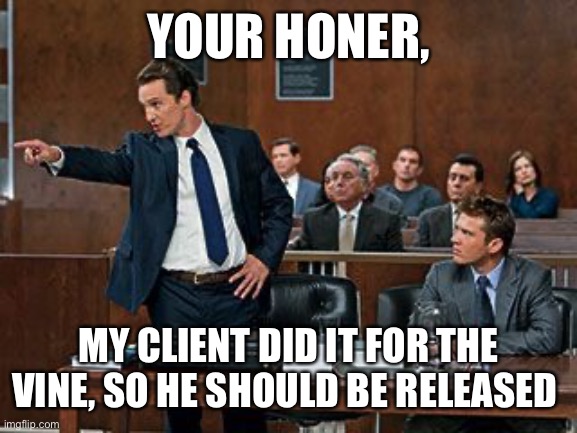 He did it for the vine | YOUR HONER, MY CLIENT DID IT FOR THE VINE, SO HE SHOULD BE RELEASED | image tagged in lawyer | made w/ Imgflip meme maker