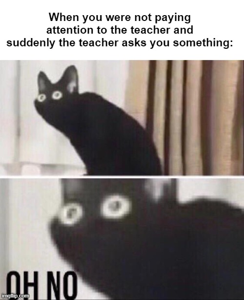 do you kinda hate it when the teacher does this? | When you were not paying attention to the teacher and suddenly the teacher asks you something: | image tagged in oh no cat | made w/ Imgflip meme maker