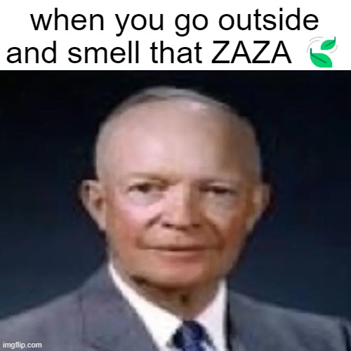 image title | when you go outside and smell that ZAZA 🍃 | made w/ Imgflip meme maker