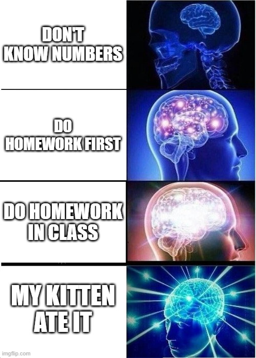 i dond know whad do do (Hahhahaahha) |  DON'T KNOW NUMBERS; DO HOMEWORK FIRST; DO HOMEWORK IN CLASS; MY KITTEN ATE IT | image tagged in memes,expanding brain | made w/ Imgflip meme maker