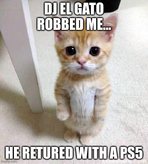 Cute Cat Meme | DJ EL GATO ROBBED ME... HE RETURED WITH A PS5 | image tagged in memes,cute cat | made w/ Imgflip meme maker