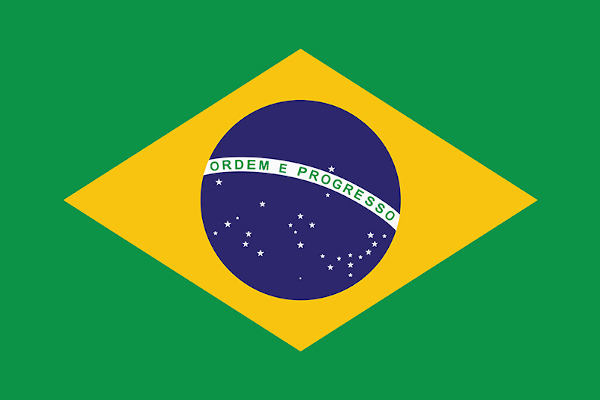 High Quality brazil I've failed you Blank Meme Template