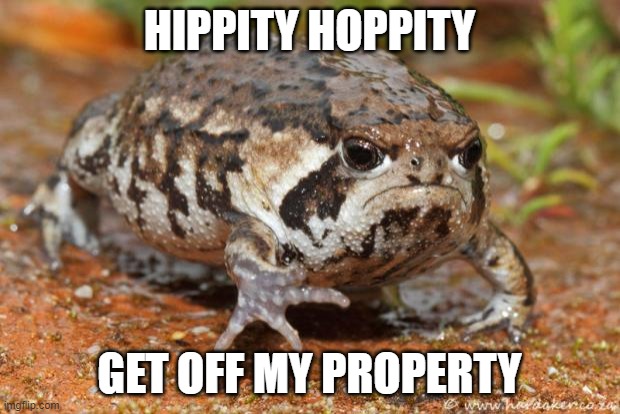 Mad toad | HIPPITY HOPPITY; GET OFF MY PROPERTY | image tagged in memes,grumpy toad | made w/ Imgflip meme maker